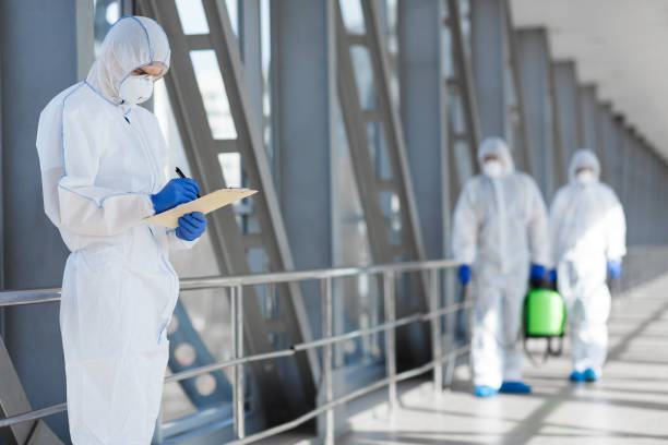 Best Mold Removal for HVAC Installations  in Manteno, IL