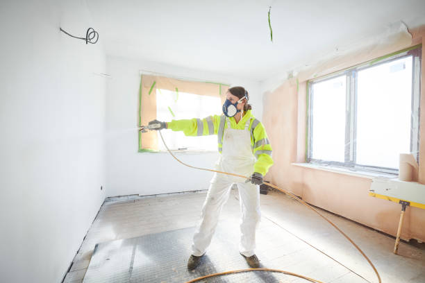 Best Attic Mold Removal  in Manteno, IL