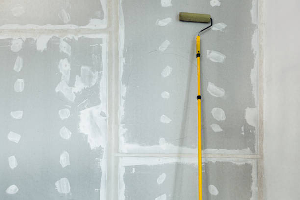 Mold Removal for HVAC Installations in Manteno, IL