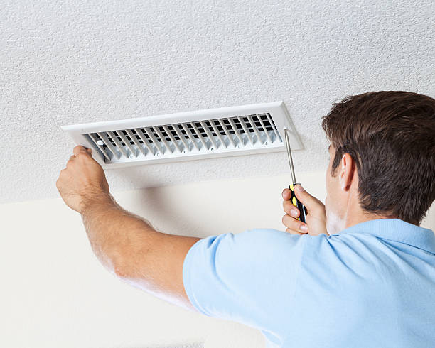 Manteno, IL Mold Removal Company
