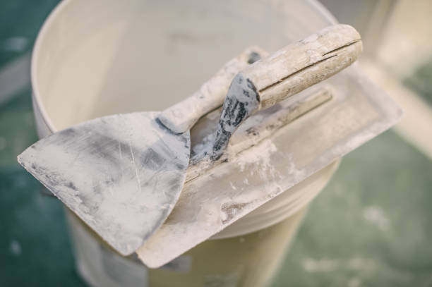 Best HVAC Mold Inspection and Cleaning  in Manteno, IL